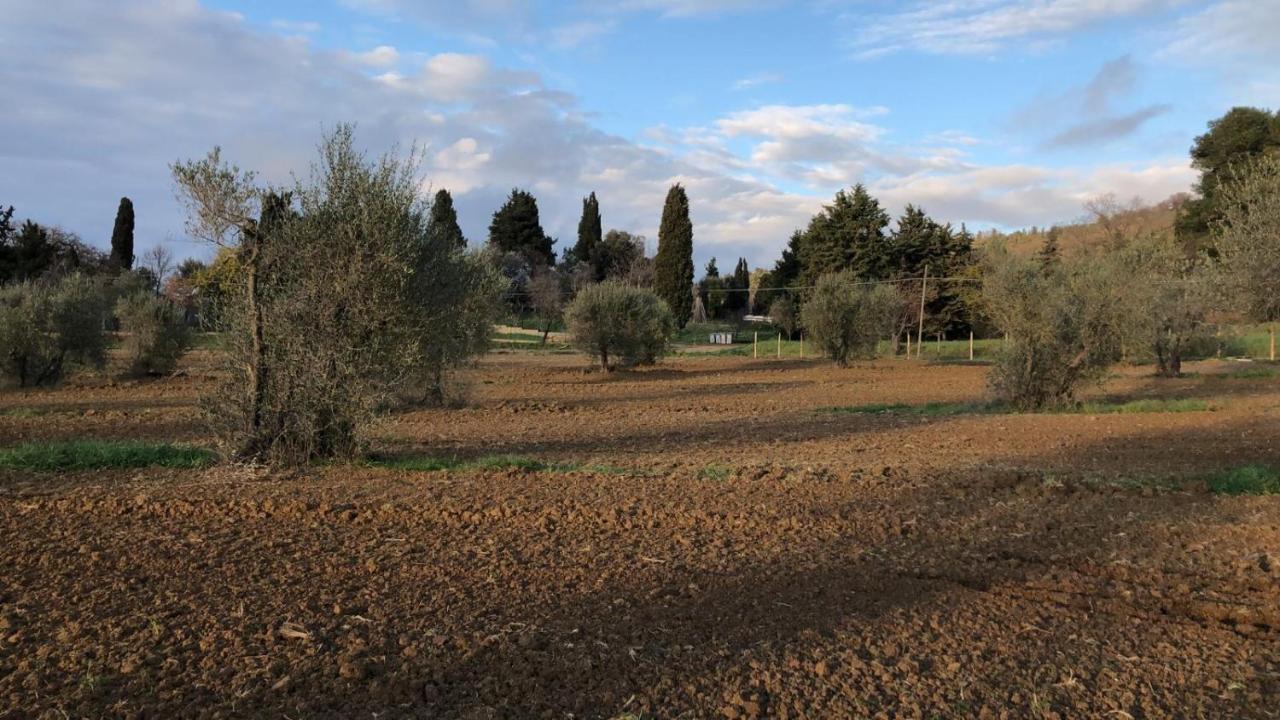 Agriturismo Il Broletto ชูเวเรโต ภายนอก รูปภาพ